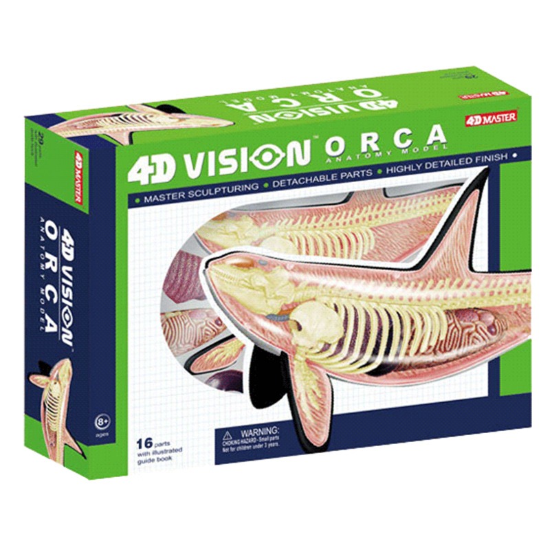 4D Vision Orca Whale Skeleton  - огляд і ціна Medical Lab Scientist